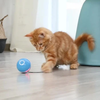 Pametna Mačka Igrače Žogo Trajne Zabavno Jjeza Igrača 360-Stopinjski Self-vozni Žogo z Bell Trajnost Smešno Ugriz Squeak Igrače