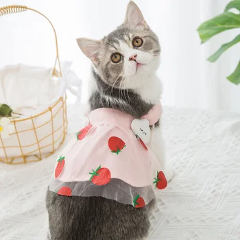 Hišnih mačk sladko slog jagode princesa obleko, ki je primerna za Britanski shorthair mačke