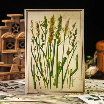 Vintage velikosti rastlin ilustracije vrsto materiala, papirja DIY scrapbooking album dnevnik vesel načrtovalec list dekorativni papir