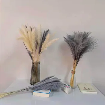 15pcs Naravnih Reed Posušeno Cvetje Pampe Travo DIY Ročno Valentinovo Poročno zabavo Doma Soba Dekoracijo Šopek