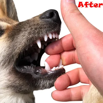 Hišni Pes Žvečiti Igrače Agresivno Chewer Usposabljanje Zob Čiščenje Hišnih Molarno Igrača