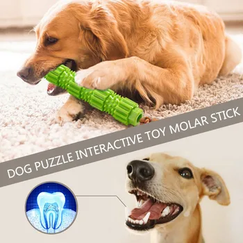 Hišni Pes Žvečiti Igrače Agresivno Chewer Usposabljanje Zob Čiščenje Hišnih Molarno Igrača