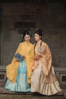 2021 starodavne kitajske kostum ženske obleke tradicionalnih hanfu ming dinastija plesne kostume ljudske pravljice orientalski uspešnosti kostum