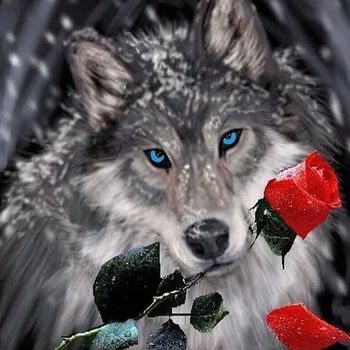 Živali Diamond Slikarstvo Lepoto In Wolf Navzkrižno Šiv Diamond Vezenje Dolini Pokrajini, Polni Diamond Mozaik Komplet Art Darilo K88