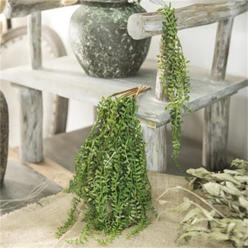 Stranka poroko umetno sočna rastlin steni visi rastlin pearl sočna trte zeleno vejo doma dekoracijo