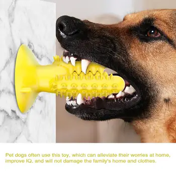 Pet Psa Igrače Za Žvečenje Kaktus Grize Molarno Zob Čiščenje Zob Umivanje Zobne Ščetke Palico Za Pasjega Mladiča Izdelki Za Hišne Živali Vroče Prodaje