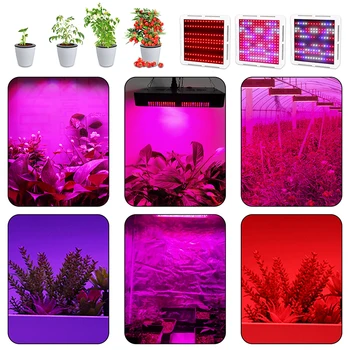Celoten Spekter Gojenje Led Grow Light UV IR Ffs Lučka Za Rože Zaprtih Rastlin, Sadik 85-265V Phytolamps Z Viseče Žice