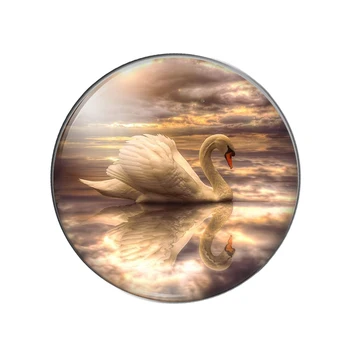 Lepota Pisane Zahod in Swan, ki Plujejo pod Krog Foto Stekla Chrysoprase Demo Ravno Nazaj, Kar Ugotovitve Ročno DIY Dodatki